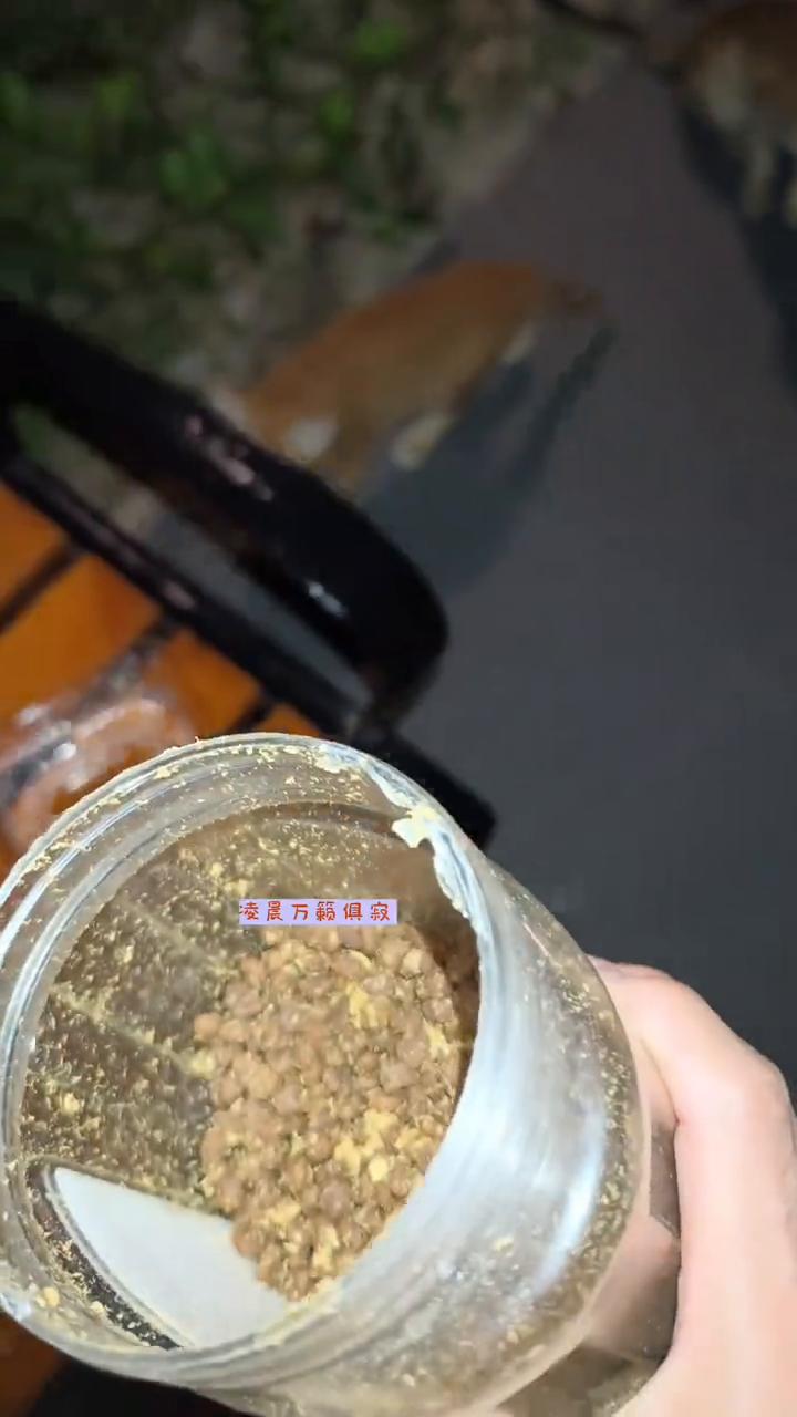 您知道凌晨喂流浪猫的好处吗？凌晨万籁俱寂，不会遇见不喜欢喂流浪猫的人，流浪猫也可