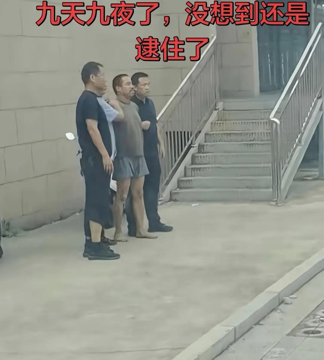 这下可以放松了夏付刚躲了10天，从西平跑到漯河，年纪大了，现在气温也高，每一天