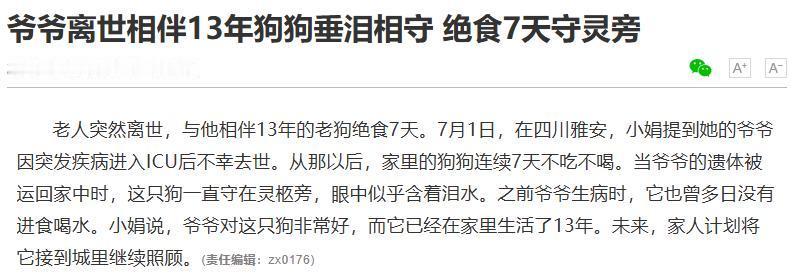 人走茶凉这句话，我们听了太多次。可四川雅安这只养了13年的老狗，偏要反着来。
