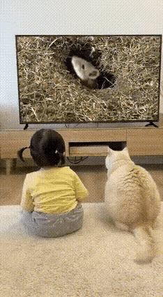 这委屈巴巴的小猫咪，简直是尽职过头的“糊涂捕快”！明明一腔热血要抓老鼠立功，哪知