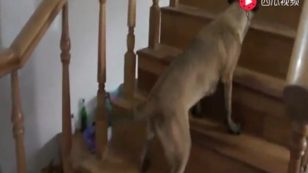 5191793488615365665.jpg?id=0