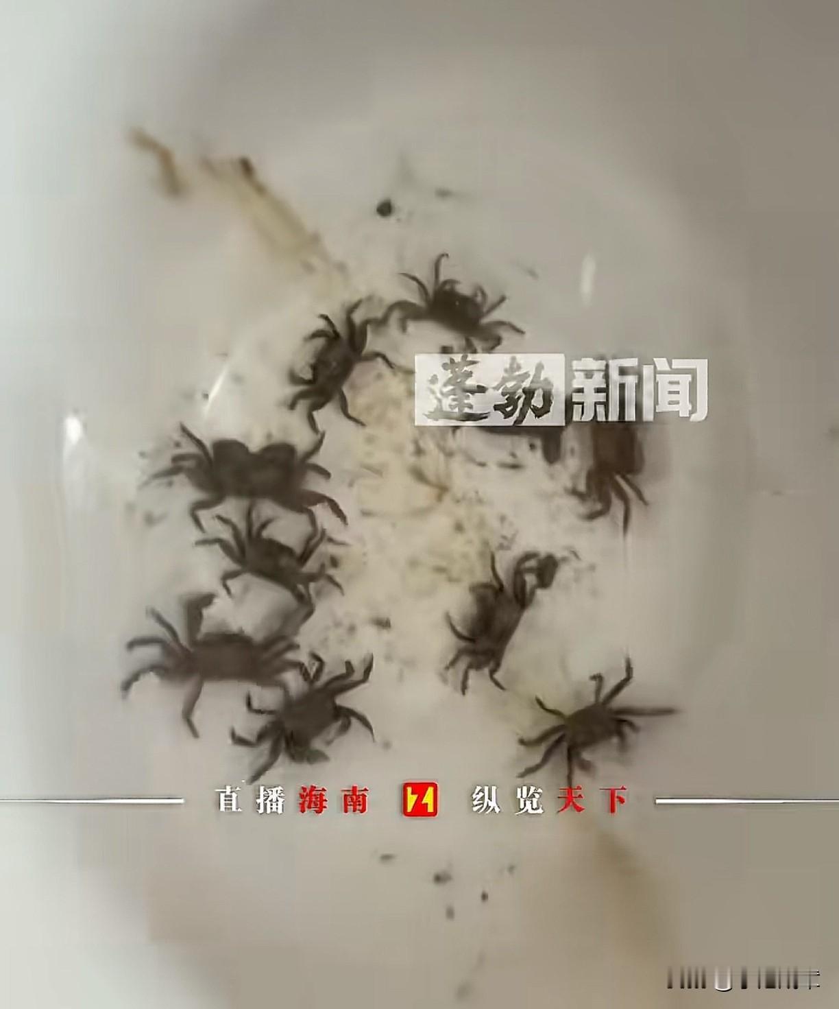 “三年后的蟹？”近日，江苏一名网友在直播间看到有人在卖螃蟹，主播拿出来的是煮