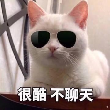 十二星座在群聊里的角色冷场终结者：白羊、射手一句话把天聊死，群里安静三分钟话题发