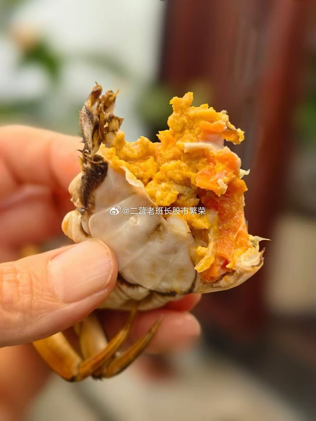 阳澄湖大闸蟹阳澄湖大闸蟹，朋友们觉得满意不​​​