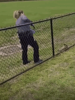 这个保安近距离对感染了狂犬病的浣熊连开了8枪才搞定。。。之所以刻意不打头部，是为