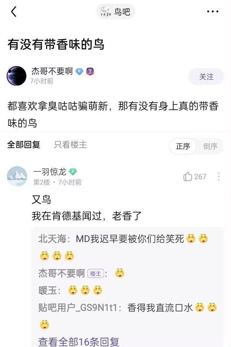 那是恐龙