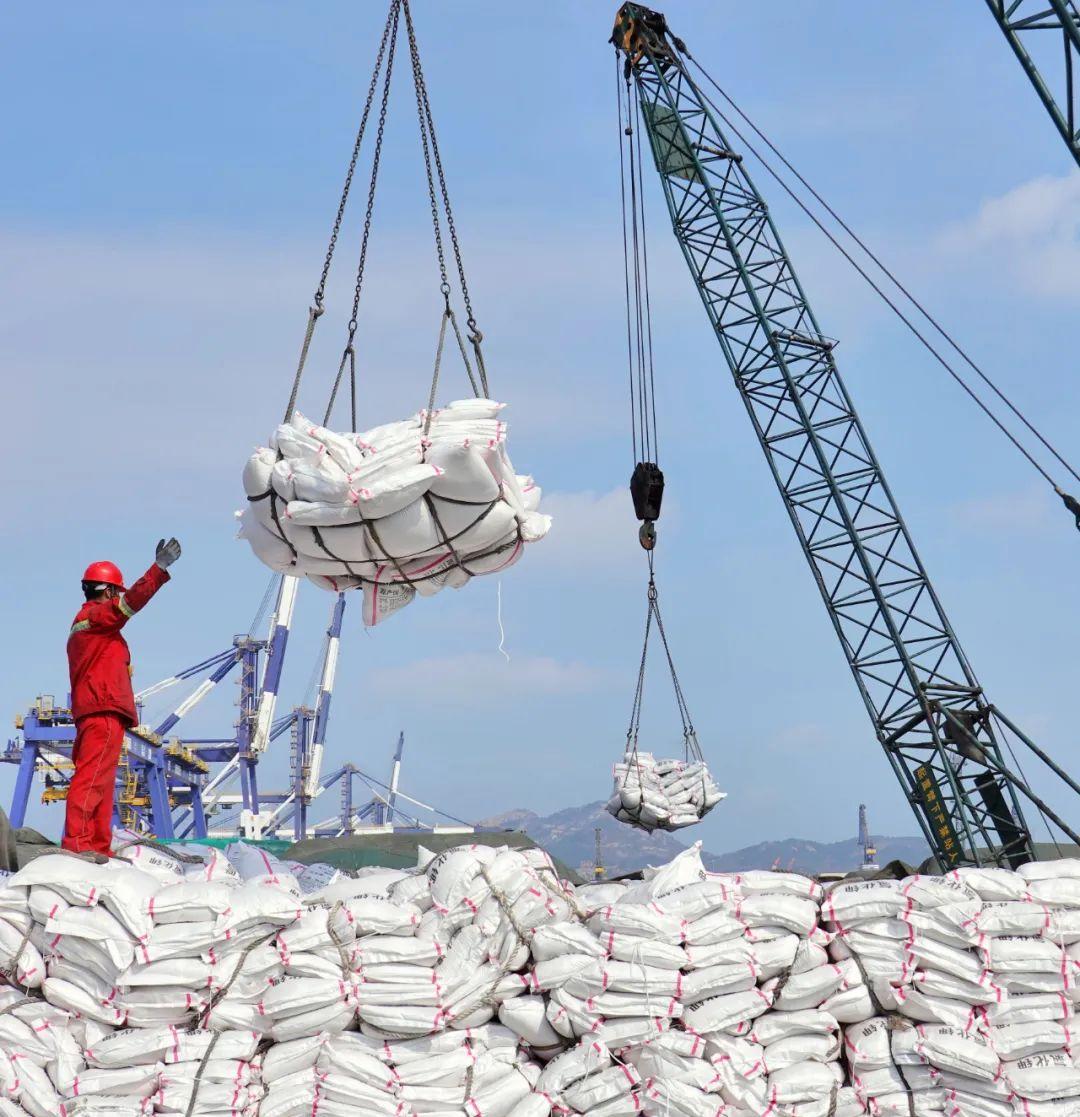 印度急疯了！抛250万吨尿素大单，硬逼中方15日前行动，不然春耕计划全泡汤！