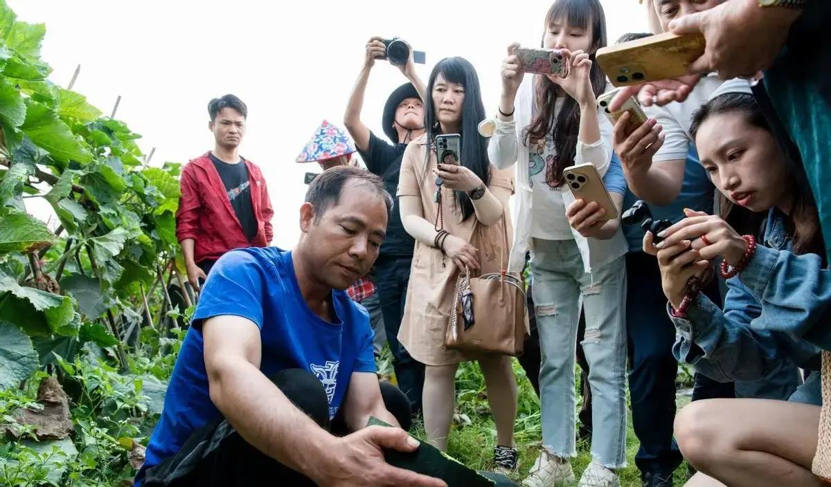 2026年3月26日，儋州火山岩黑土上，黑皮冬瓜订货会一开，全国大企竟抢签预售单