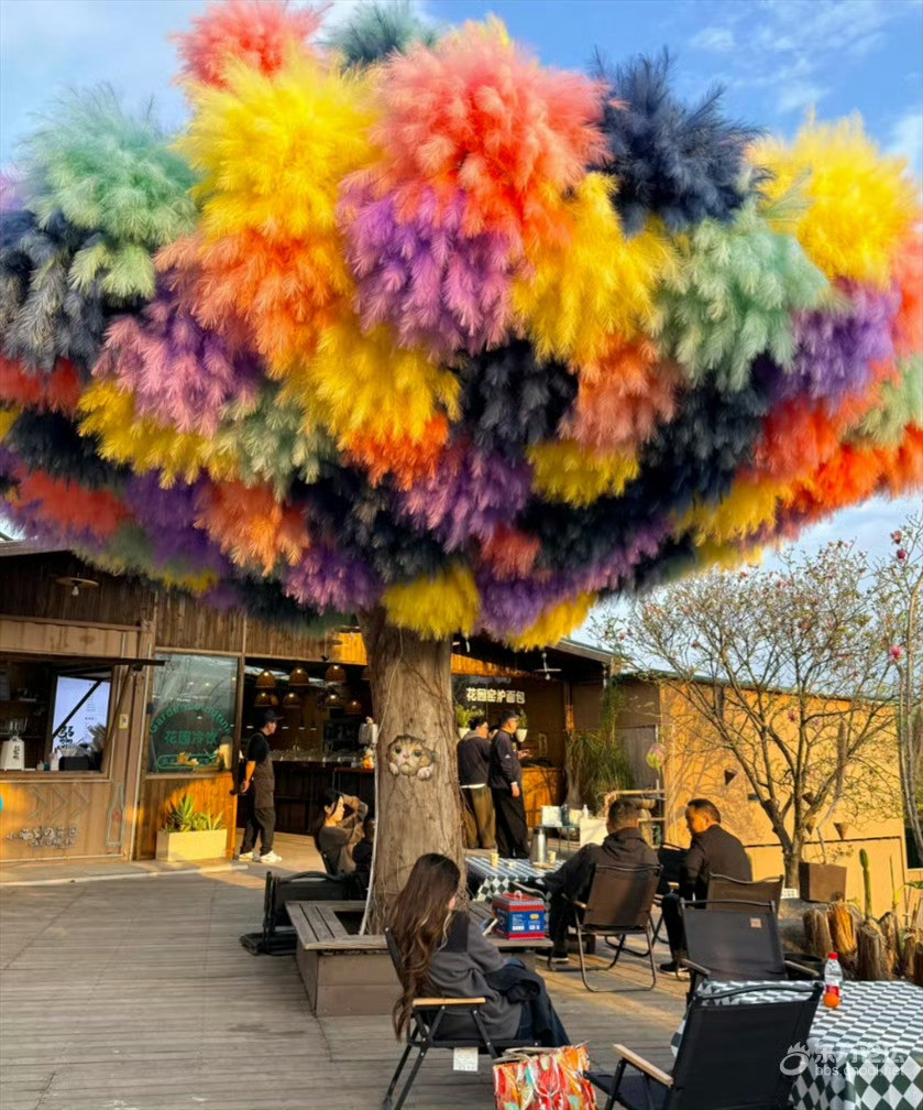 宁波奉化冷饮走网红路线会不会涨价呢宁波的这个品类都开始走“网红”路线了？网友评