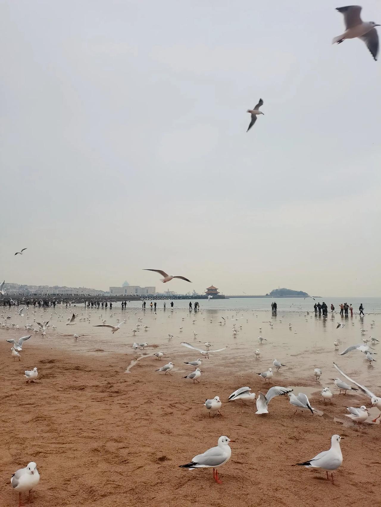 今天的家长会儿让我有点焦虑😟全班53个孩子，数学期末成绩，4个同学100