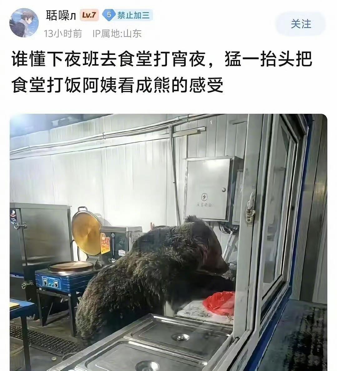 阿姨在哪里？我看了好几遍，这不是熊是什么…