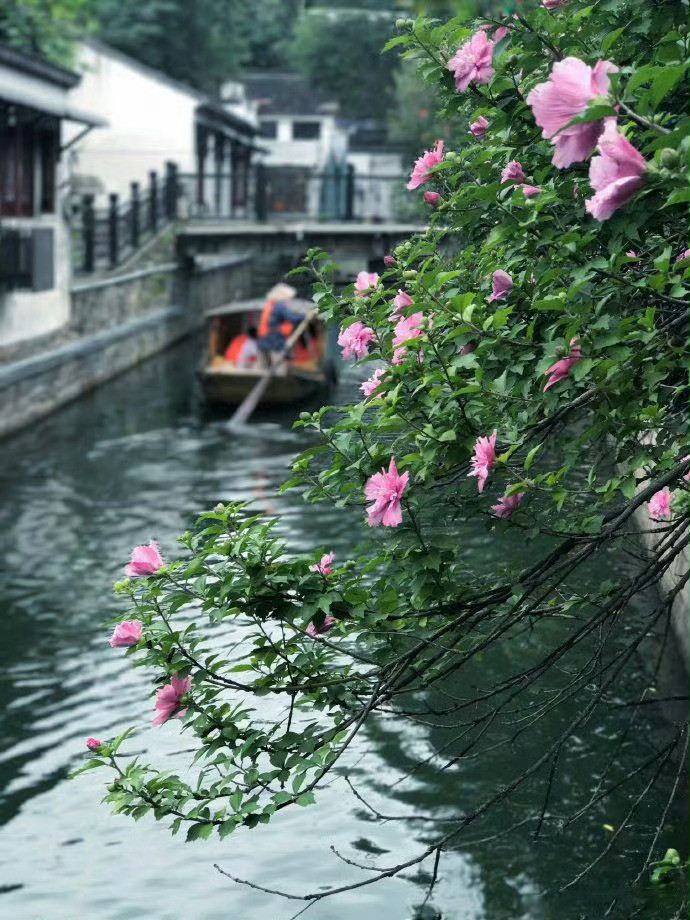此生恋姑苏，愿为人间客。​​​​