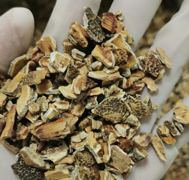 别的病我不敢乱说，但阳痿早泄我有真招，不花冤枉钱大家好，我是陈玉龙教授，坐