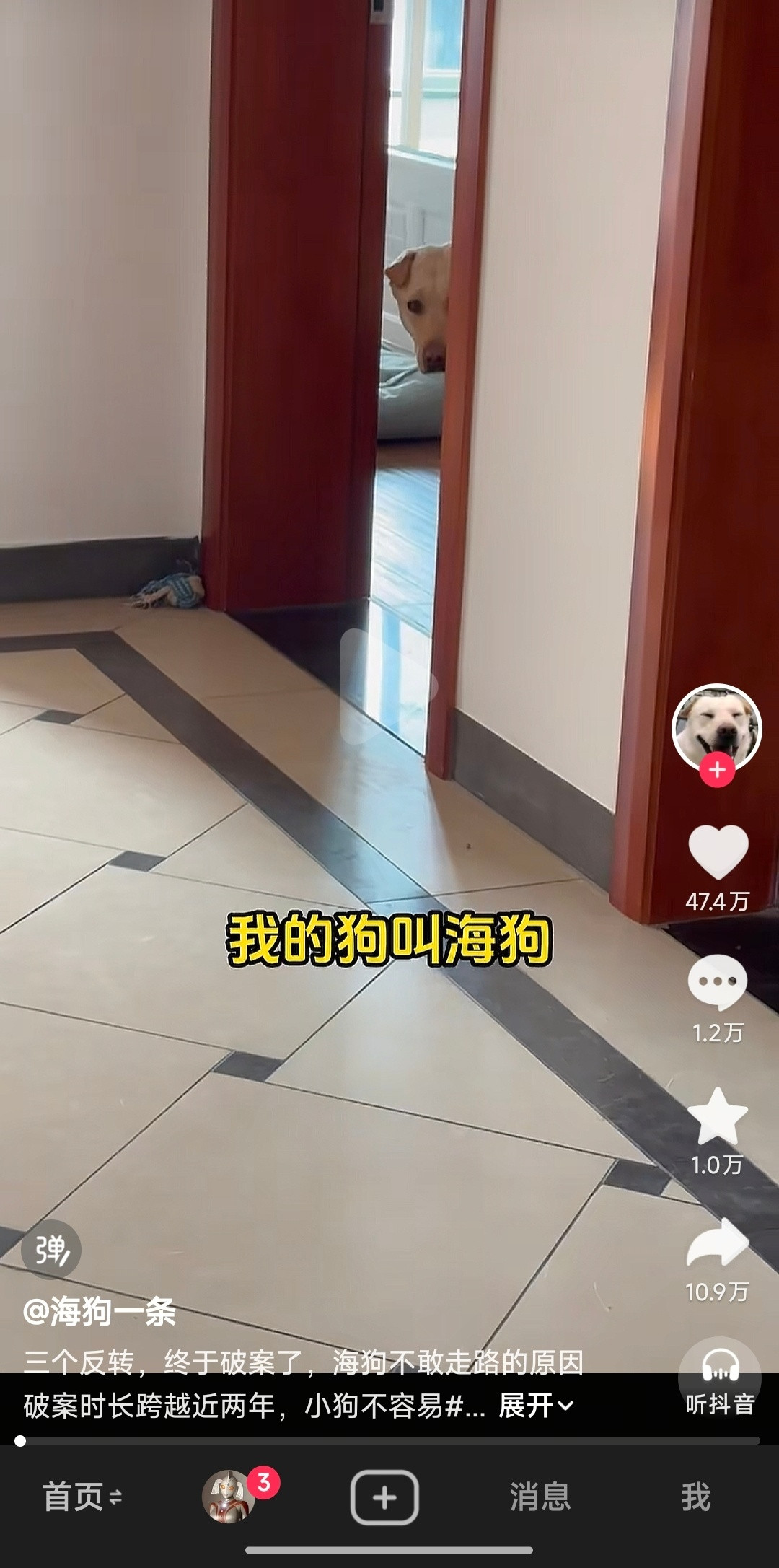 抖音上有两个特别火的宠物博主，一只狗叫「小米」，另一只狗叫「海狗」。[笑着哭]​