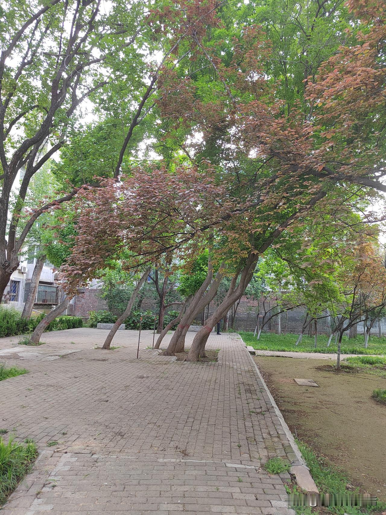 我觉得，退休工资应该设定上限和下限。下限不要低于3000。上限不要高于3万。