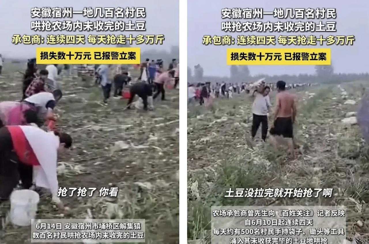 闹大了，还是因为土地承包后农民无地可耕闹笑话了，又一地出现大量农民哄抢承包商未收