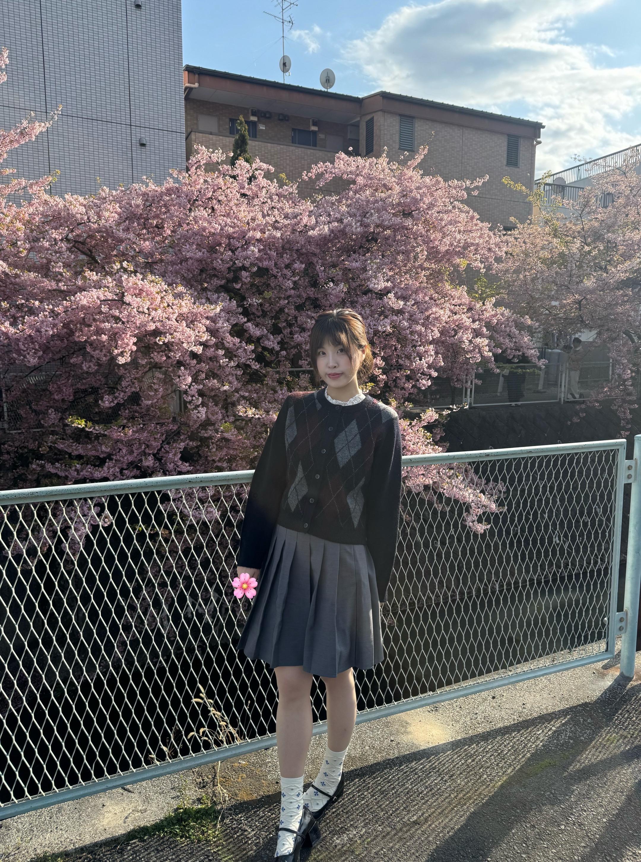 🌸樱花飘落的速度 是我想你的频率