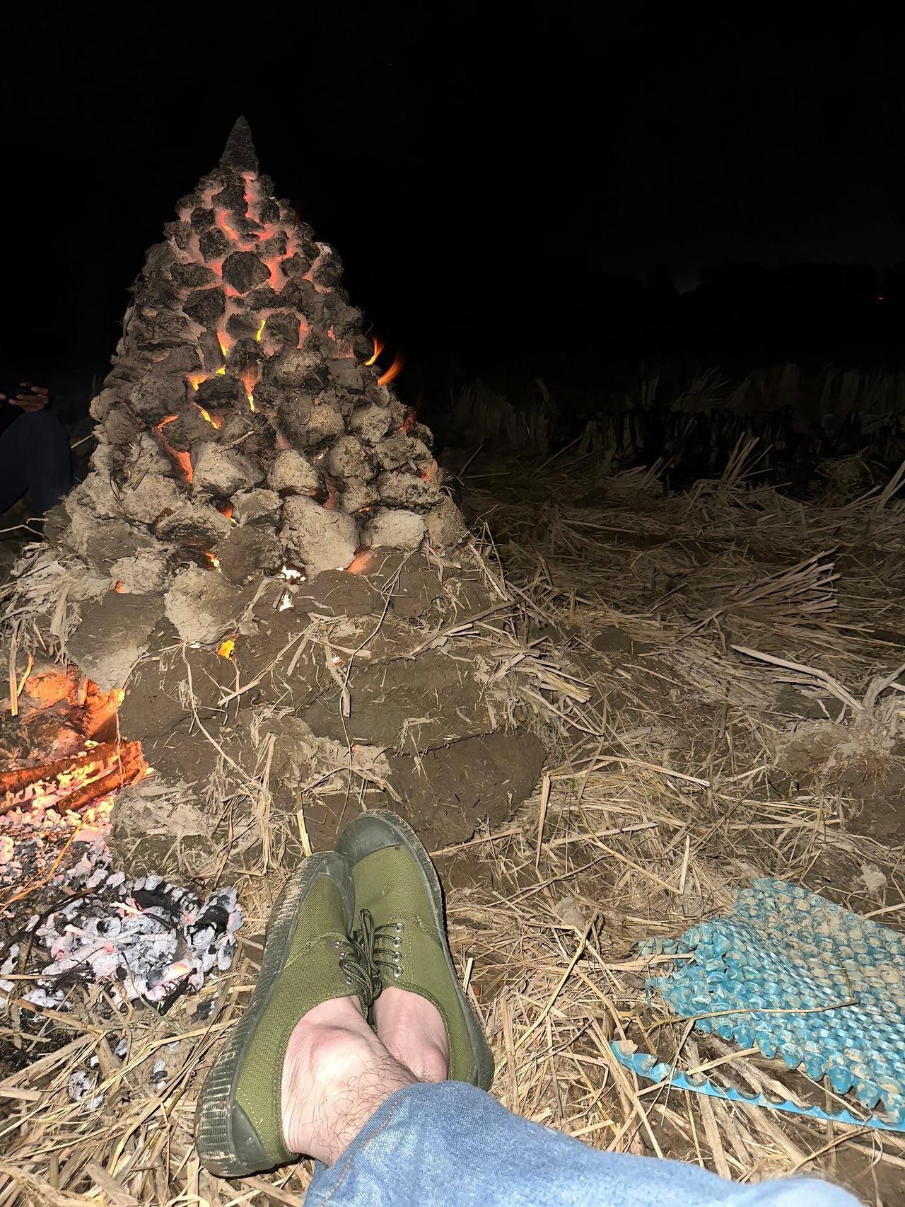 野外生存也很不错