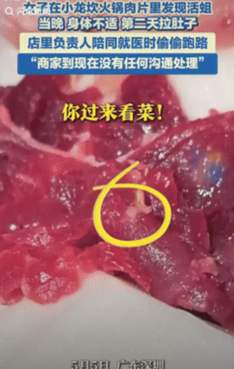 “胆子真肥！”广东深圳，一女在火锅店吃饭时，发现肉片里面有活蛆，女子一行人立即停
