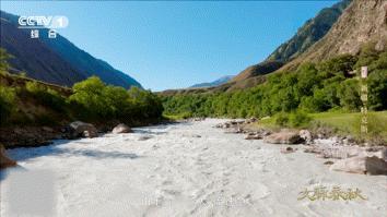 伊犁河谷藏着一条牛奶河一条河给我看馋了牛奶河之名名副其实，乳白水色超特别，游客