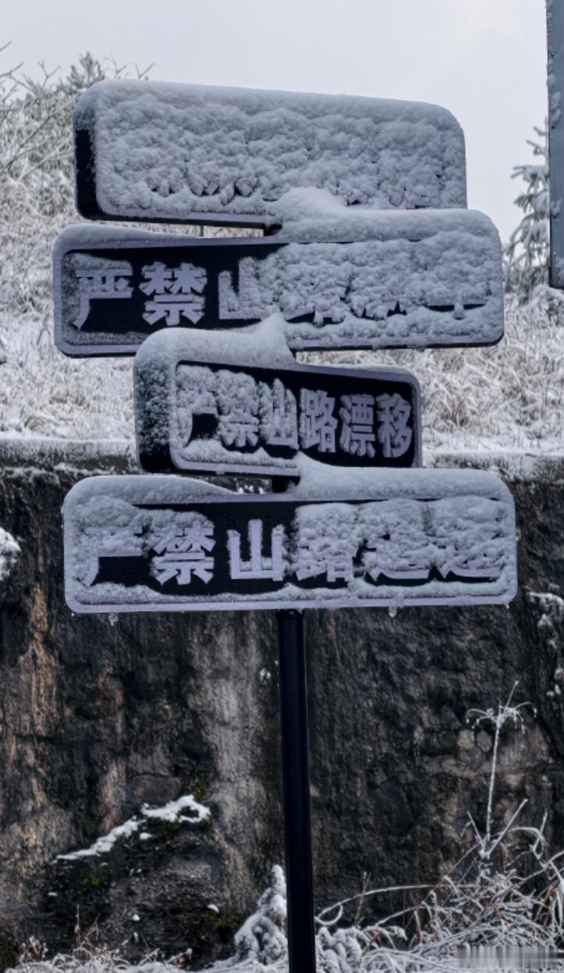 所有新势力，都说自己的辅助驾驶操作很拟人，但你有没有想过，它拟的是哪种人？我在机