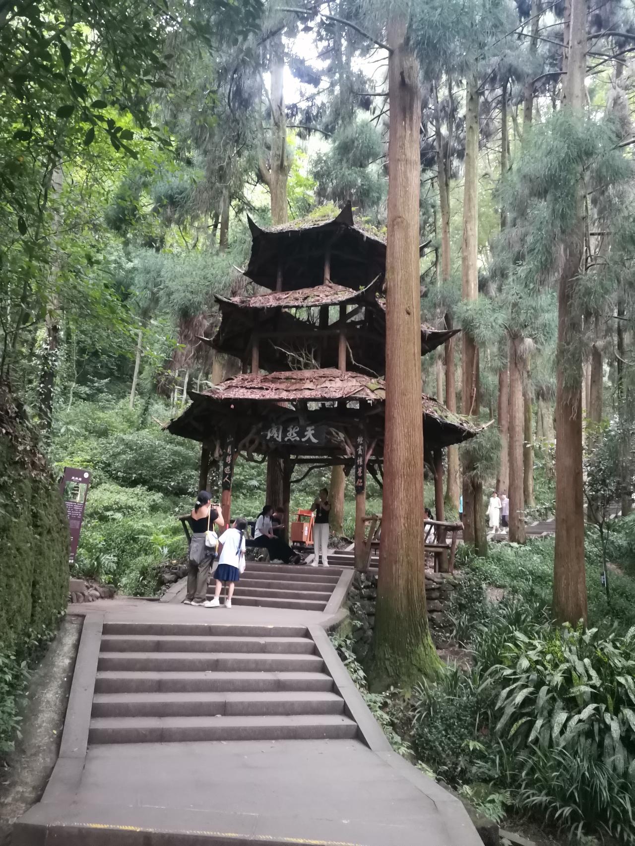 一定程度上来讲房地产把乡村教育搞砸了。各地为了帮开发商卖房子,教师进城要考试了,