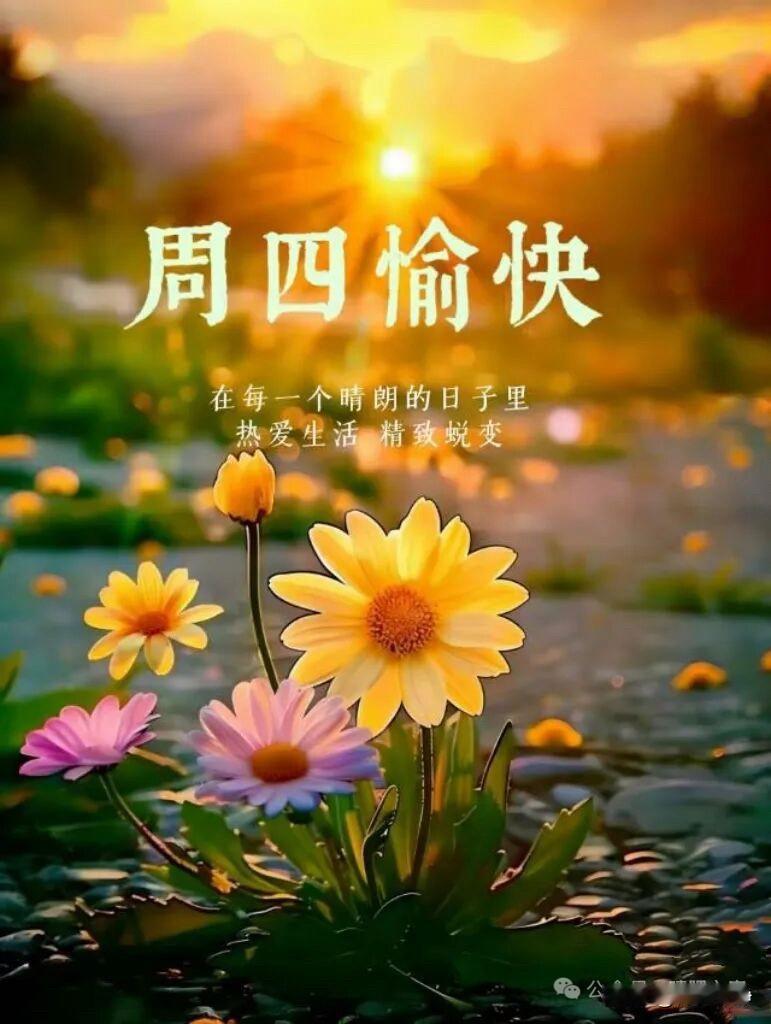 🍎²⁰²⁶/₀₄.₁₆🧨ᵕ̈🐎🍃🌻🍒🍡🍃𝐌𝐨𝐫𝐧?