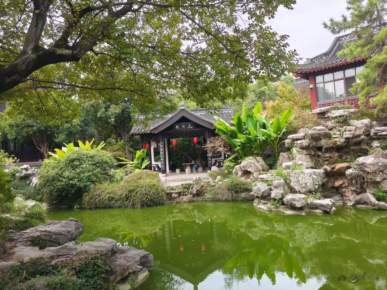 这两年不回村过年了，影响心情，以前回去过年，真的好累，大年初一，一大早赶回去，被