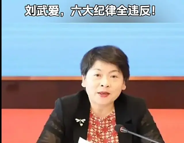 九江市人大常委会原美女副主任刘武爱被双开, 六大纪律全部违反!