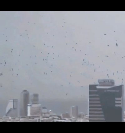 在以色列特拉维夫上空和街头出现了大量乌鸦，遮天蔽日。很多外国人认为这是“末日的