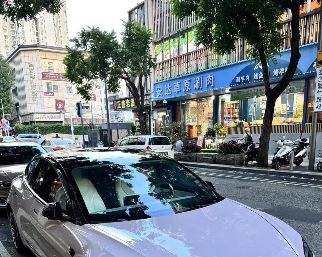 贷款买车后，我后悔死了。去年和老公贷款买了一辆25万的特斯拉modleY，从