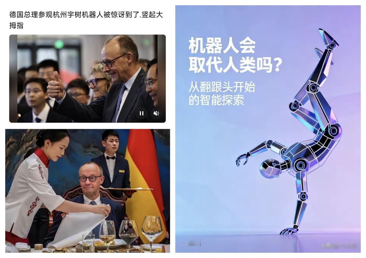 ✨武BOT彻底的征服了墨茨✨🐼德国人一向是严谨的，所以，墨茨要亲自去看一