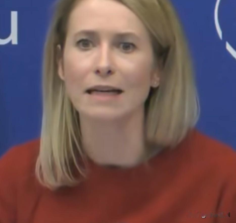 欧盟外长卡娅·卡拉斯解释说，她已经说服各国不要与俄罗斯进行外交沟通：“与俄罗