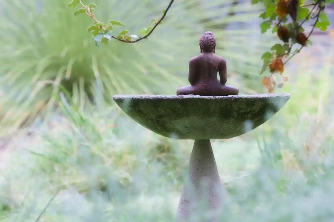 来时一丝不挂，去时高温火化，想那么多干嘛！我们不过是来世上历一场烟火，不必事事求