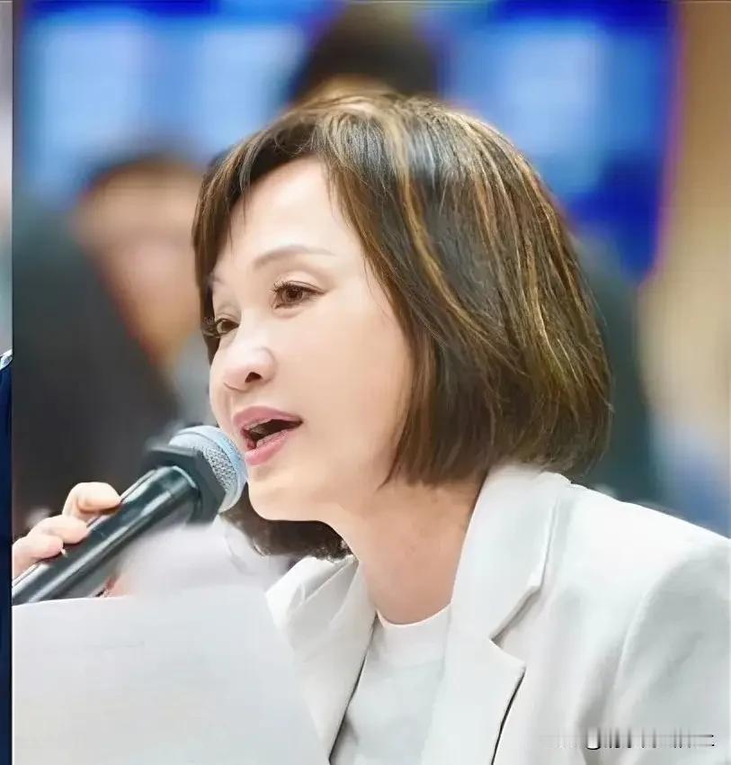 柯志恩的取胜之钥！高雄作为绿营的大本营，民进党长期执政，造成的官商勾结，腐败