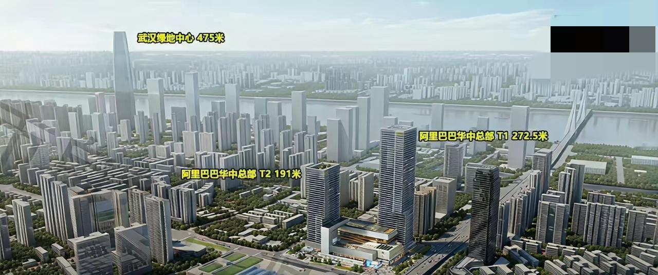 武汉阿里中心40余家头部企业齐聚，数字经济再添新引擎10月22日，武汉滨江数