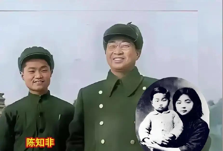 陈知非算是很幸运的，摊上了傅涯这样一位深明大义的继母，十六七岁的时候，还能够来到父亲陈赓的身边，跟继