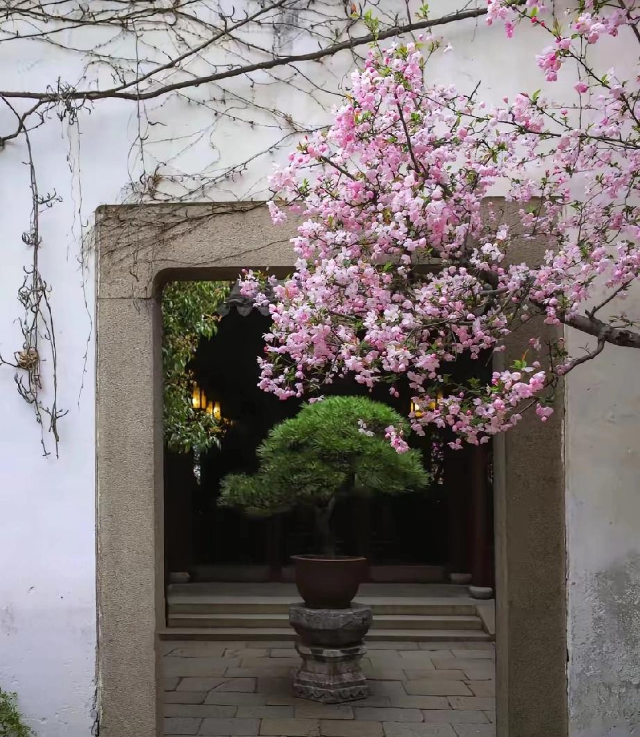 全世界的穷人都把碳水当主食，全世界的有钱人都把蛋白质当主食，这就像牛羊吃草，虎狼