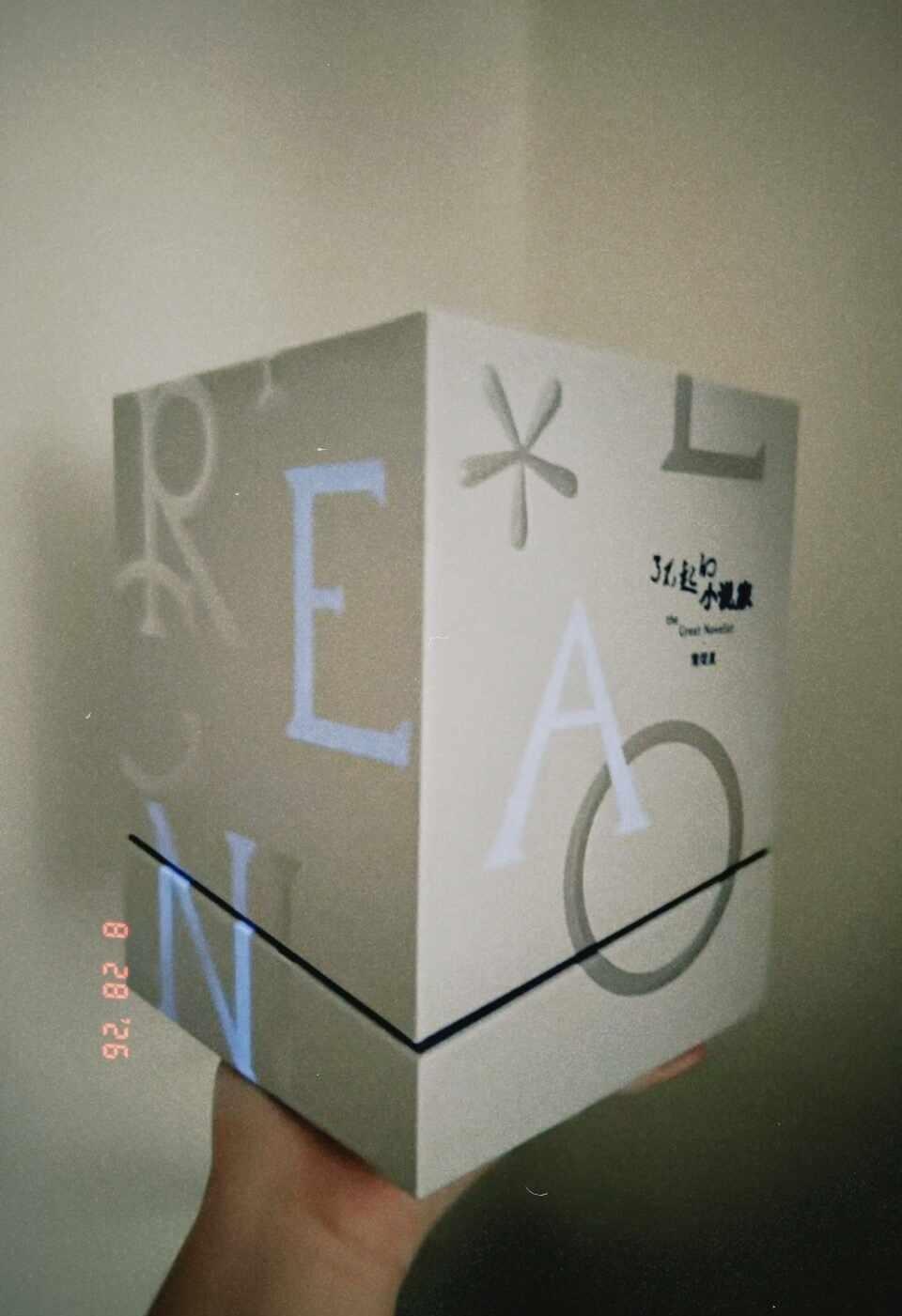 【了不起的小说家】💿了不起的小说家theGreatNovelist真实