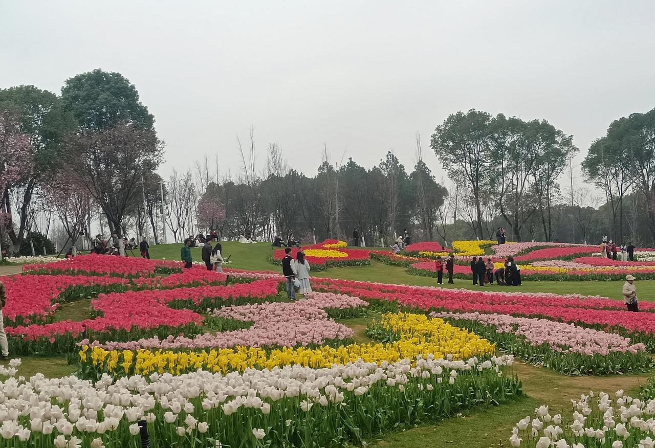 生活里这15个“免费养生小妙招”，你每天都在悄悄用吗？这些不花钱的养生办