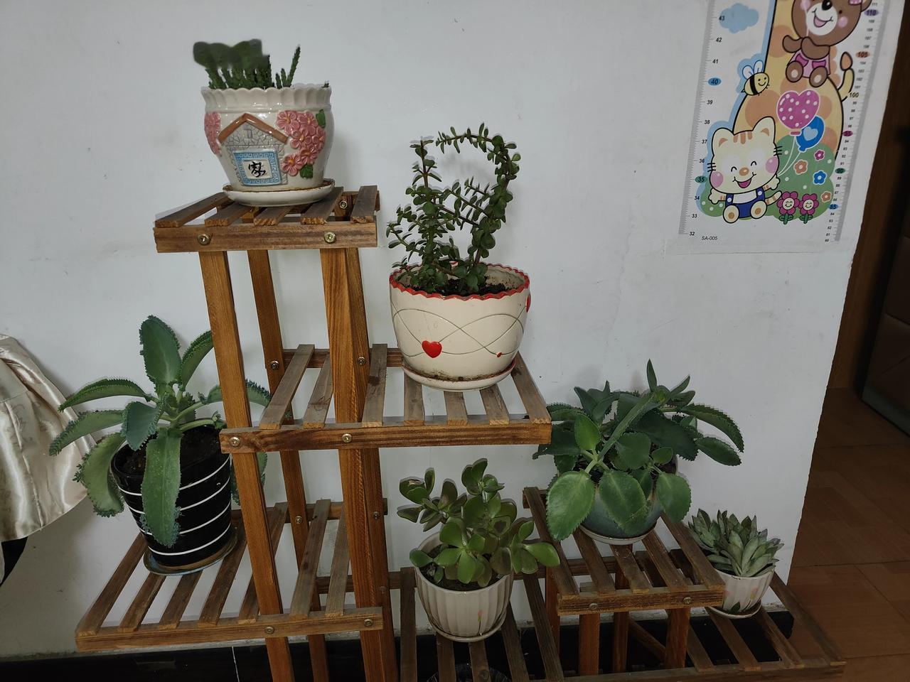 开心时刻😁阳台小花园的养护心得，新手也能抄作业我家这个角落的小花园，摆