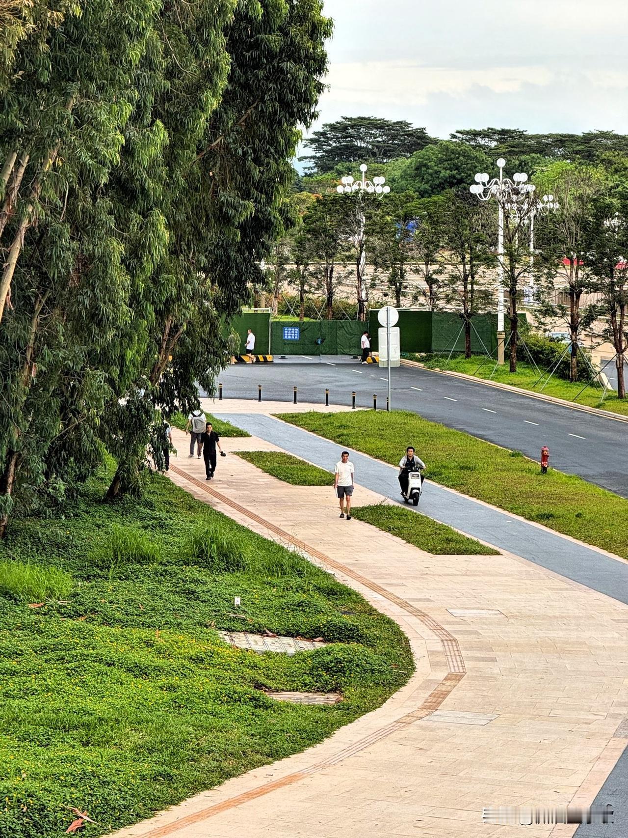 这是深圳的什么地方谁知道？深圳打卡拍照地
