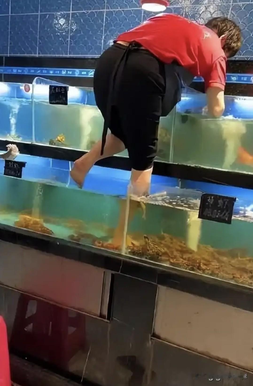 三亚一超市员工光脚踩水族箱擦玻璃，海鲜全数下架敲响食品安全警钟近日，三亚一家