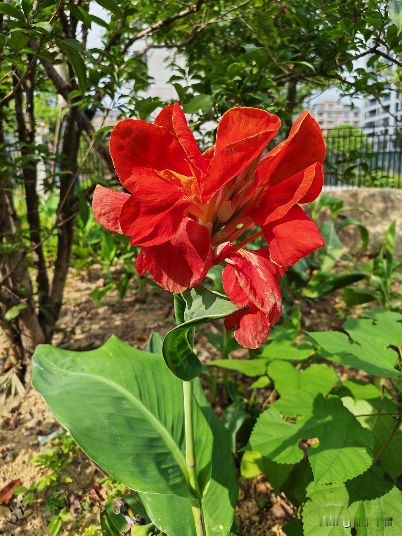 两个同事，一个湖北人，一个江西人。他们都是50岁左右的中年人，各有一个弟弟来杭州