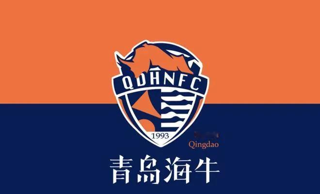 海牛输了，确实技不如人！青岛海牛0：2输给大连英博，在大家的意料之中。大连的客