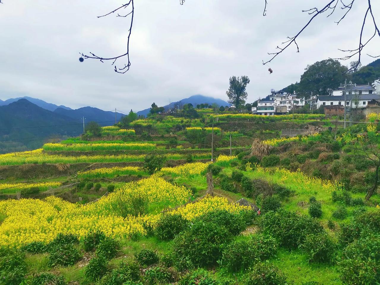 南师附中高三的家长找到我，希望我帮孩子解决学习问题。这孩子物理成绩不太理想，大概