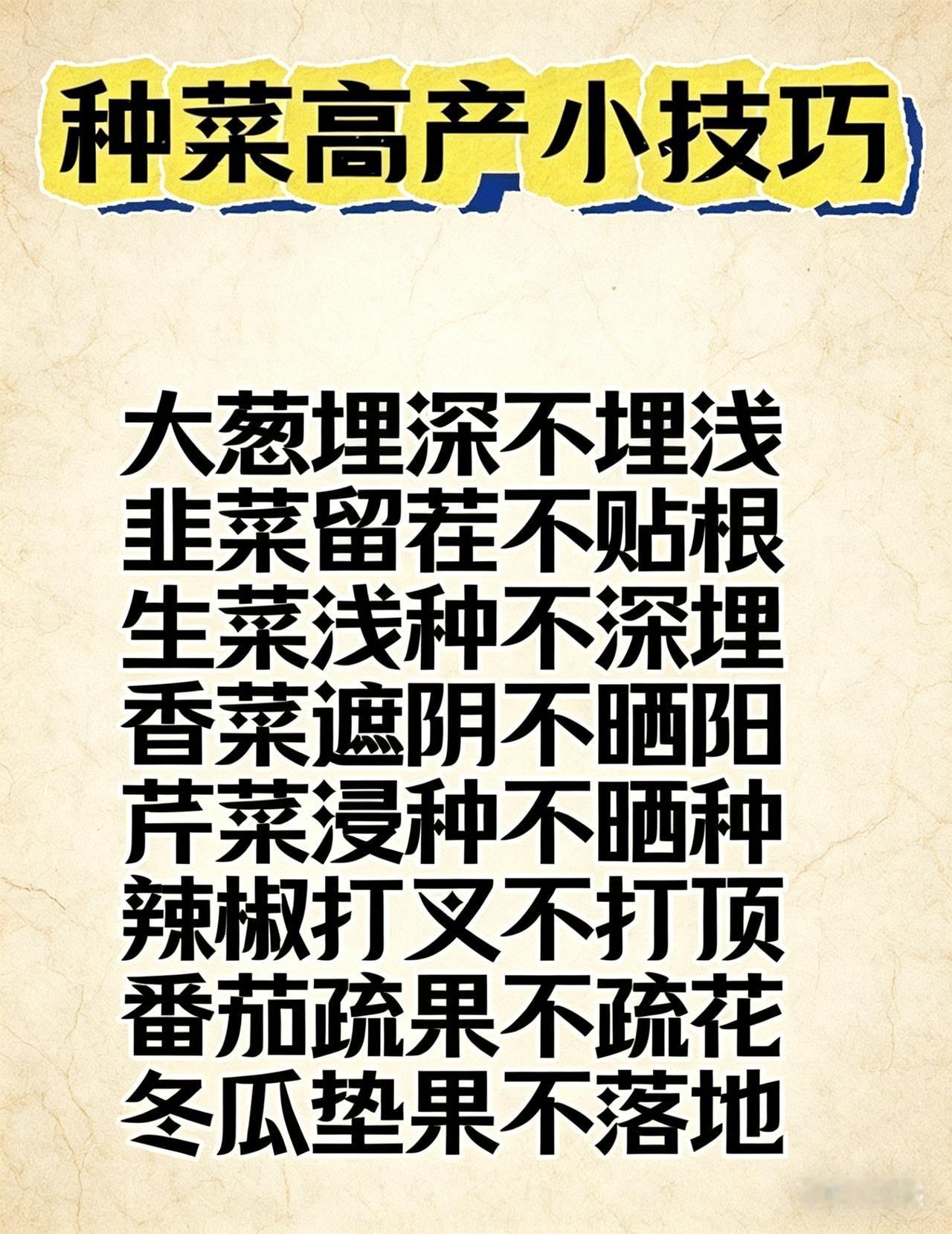 种菜高手不说的10个小技巧，学会一个都赚了！你是不是也觉得：同样种菜，别人的又