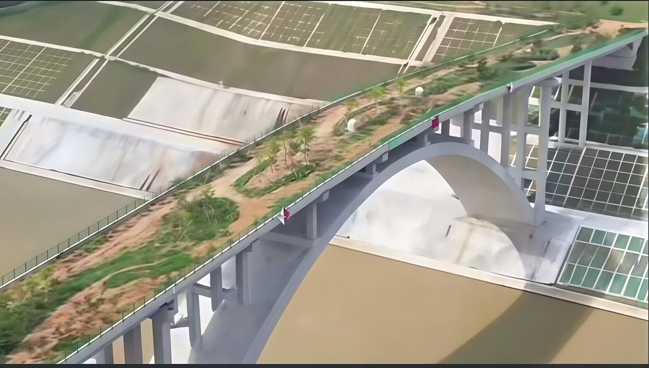广西平陆运河上修建了一座专门为野生动物通行的大桥，花了3200万，火遍全网，不少