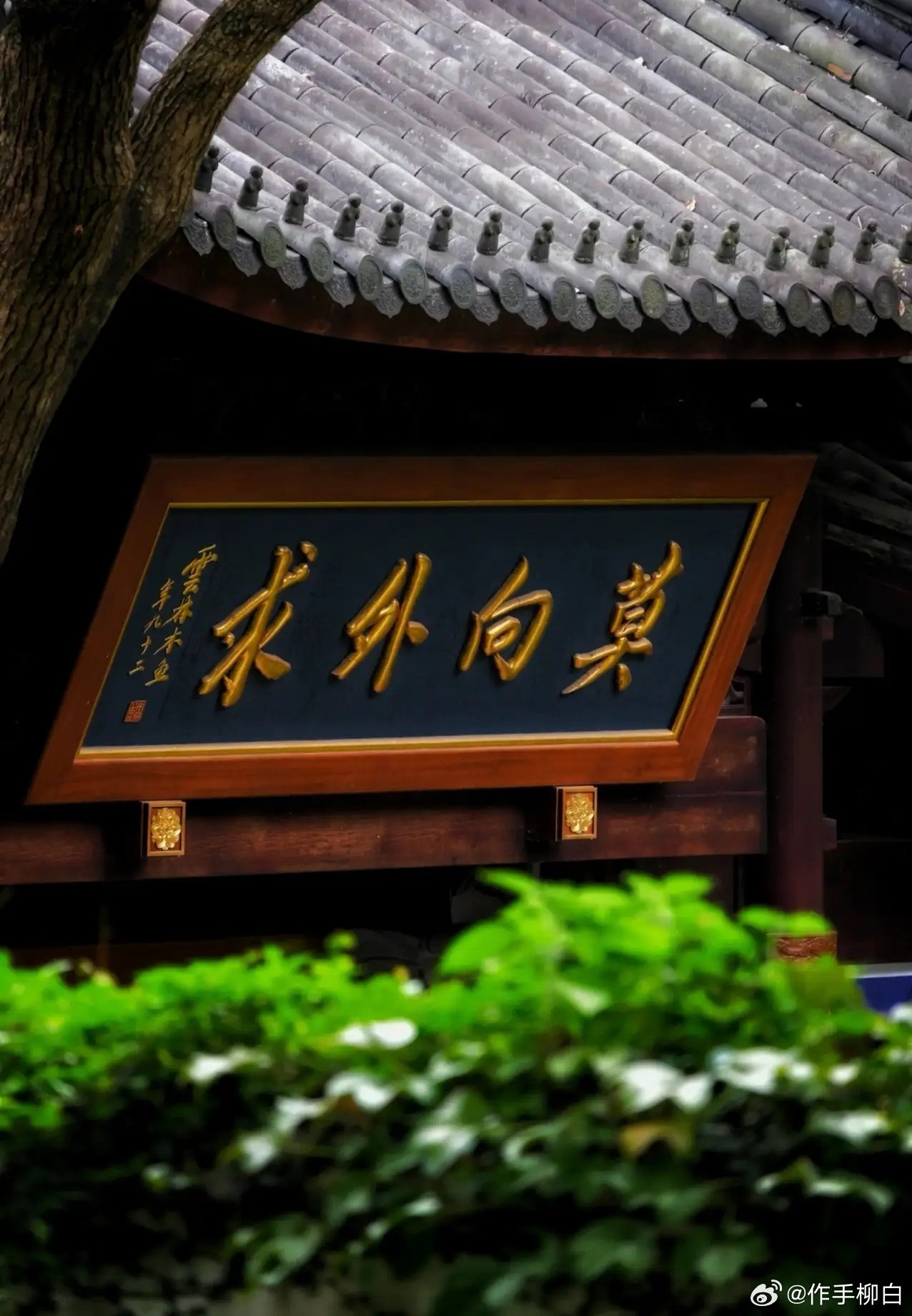 AIPCB纯正概念十家企业头部企业技术、客户、产能优势突出，成长确定性强1.