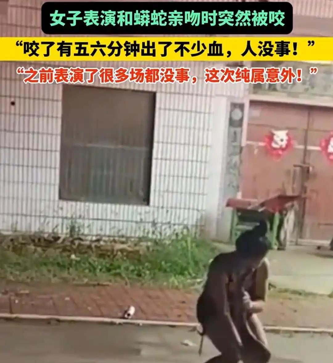 “多场表演无意外”！可动物始终是动物，其行为是无法完全掌控的！近日河南商丘的